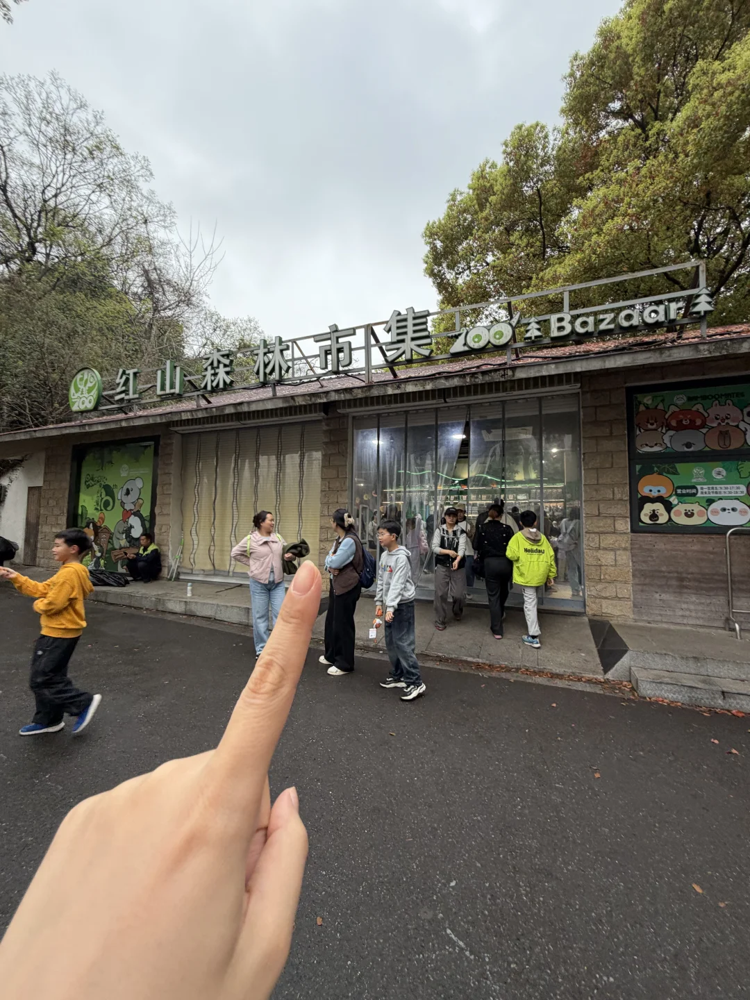 南京红山动物园60进600出🥹