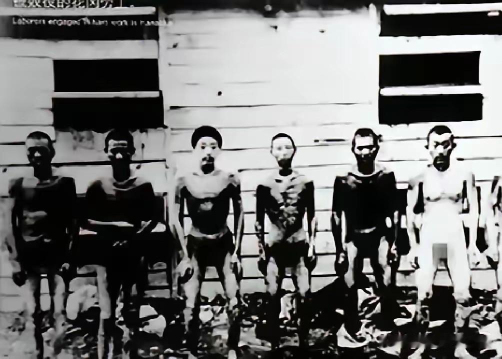 1944年洛阳保卫战，连长耿谆负伤被俘，连同近千名同胞被日寇掳往日本秋田花冈町做