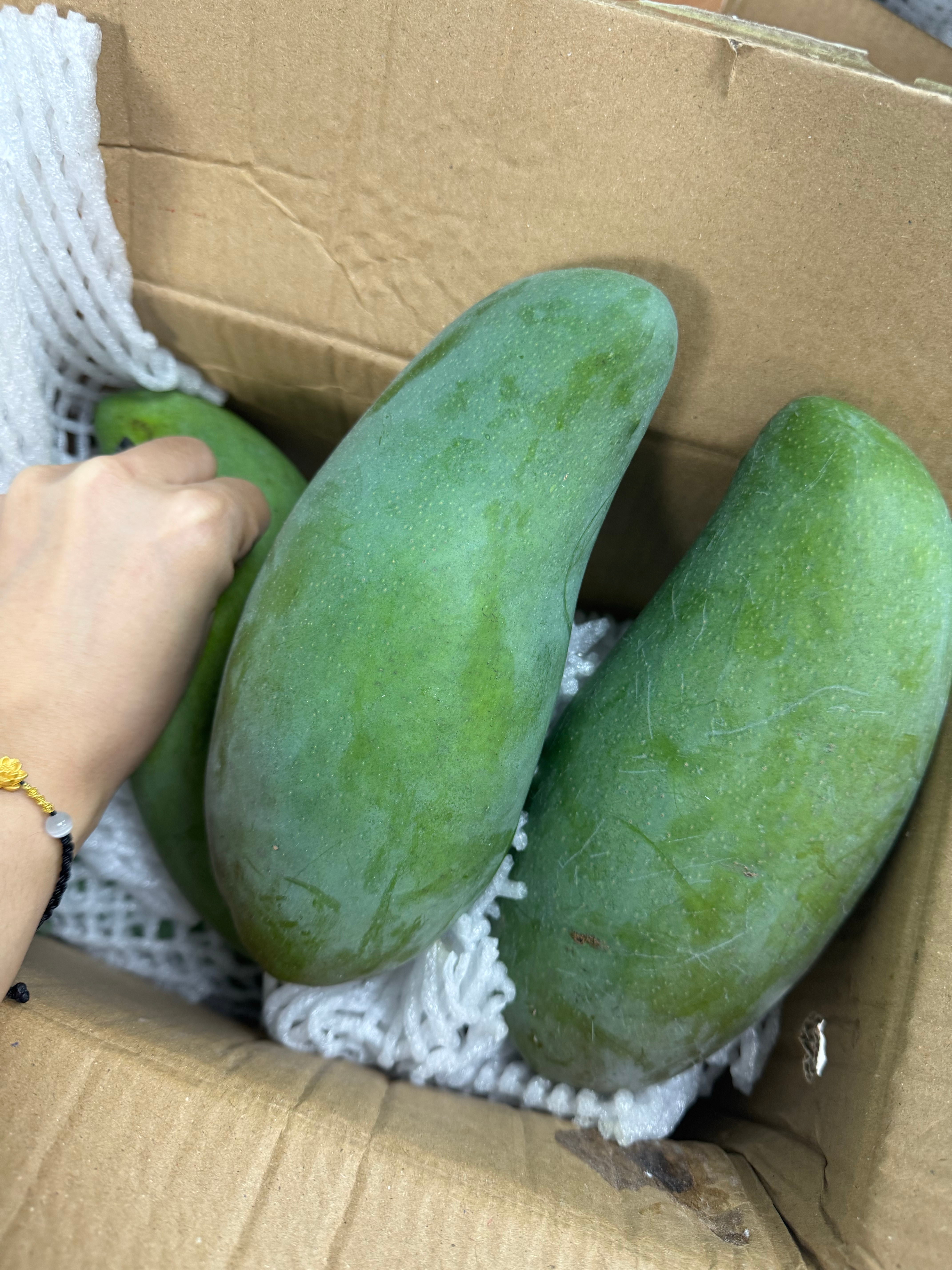淘到了性价比超高高高高高的芒果价格惊到我了没想到收到果子还可以​​​