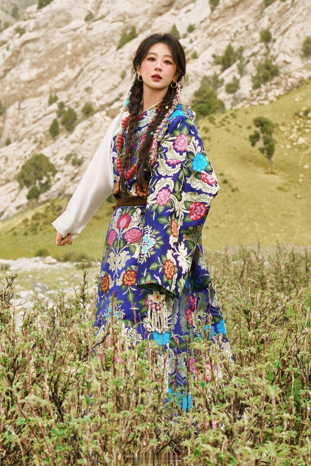 杨紫藏族少女妆杨紫好美啊你就是高原上的格桑花白菊李雪说杨紫胡歌入围白玉兰超预期狗