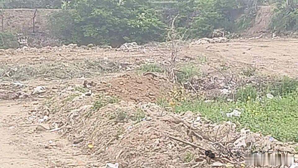 陕西咸阳身边事兴平：耕地沦为“垃圾场”，政府专项整治文件为何成一纸空文？“看