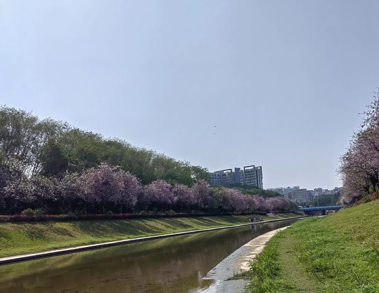 婆媳关系，不帮忙也别干涉！珊珊找了个潮汕老公，结婚前反复与老公确认，以后小俩