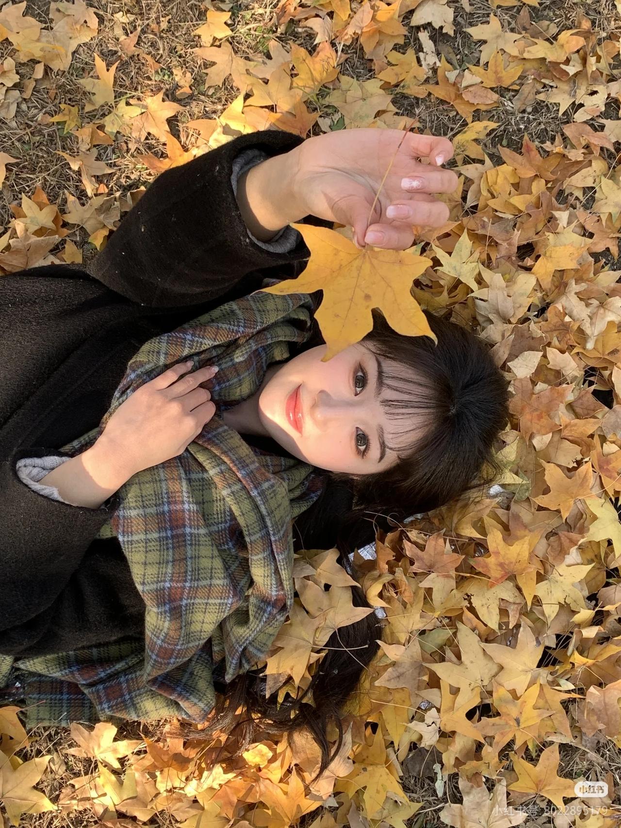 初冬的大自然美景