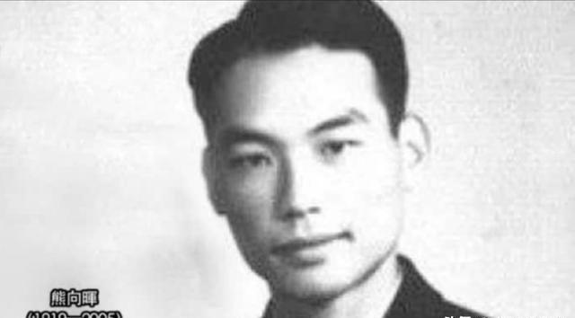 1982年，中央统战部副部长熊向晖已经63岁了，从领导岗位上退下来。叶剑英知道后