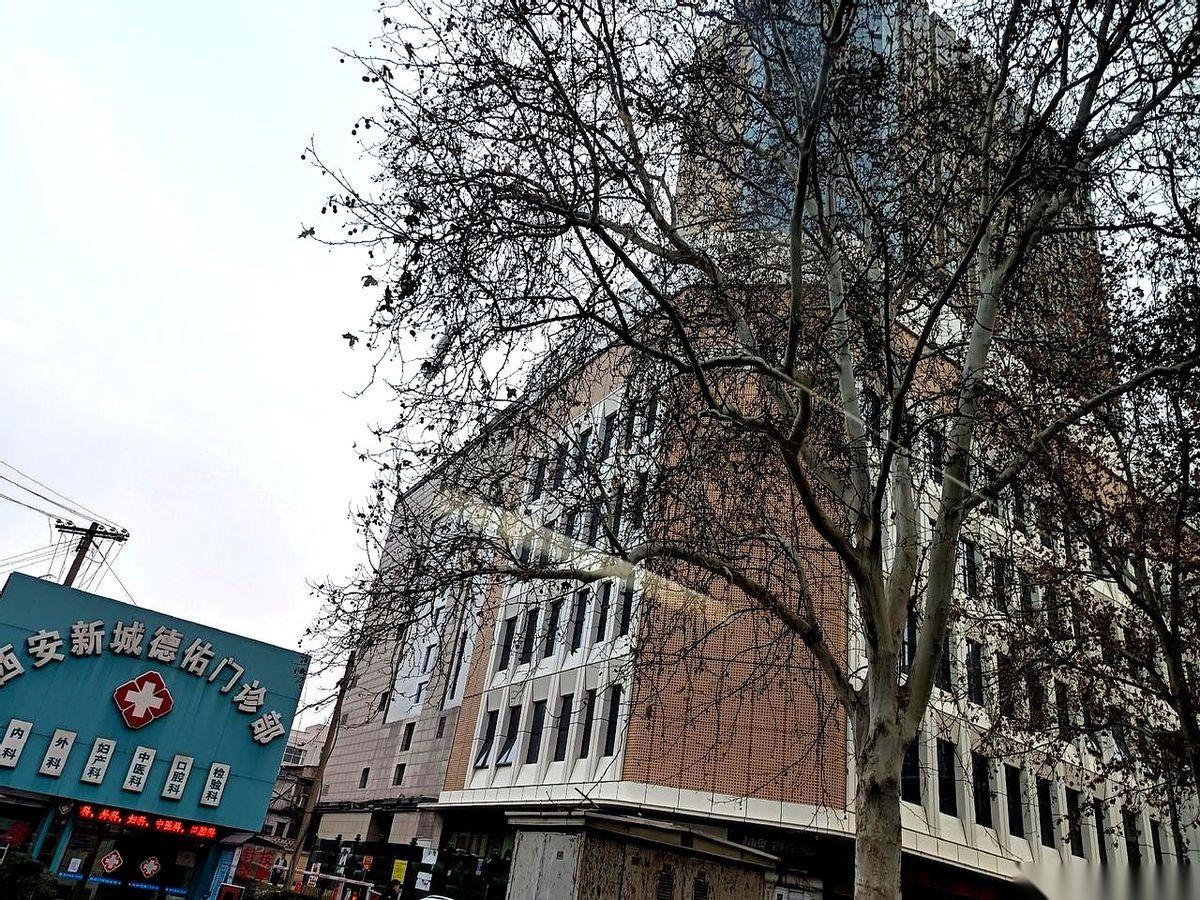 我跟你讲，现在压垮一个中年人，真不是工作，也不是房贷。是深夜里你突然惊醒，想到