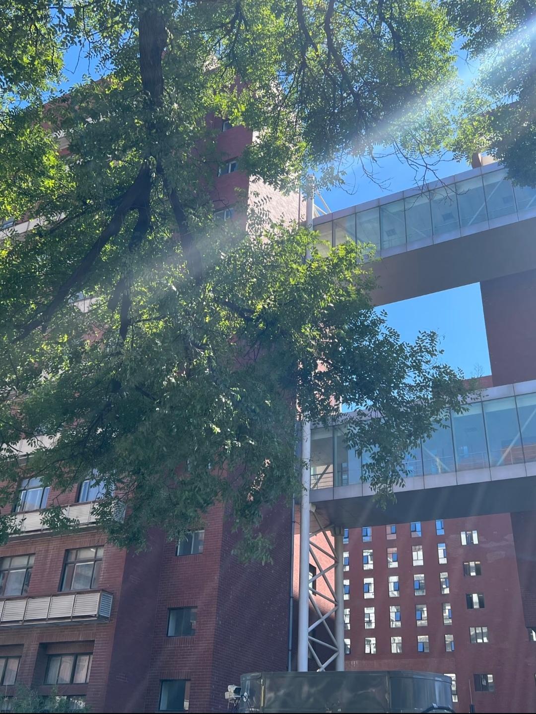 大学是一场巨大的后知后觉期末周的破防、深夜的焦虑、面试前狂飙的心跳,曾以为