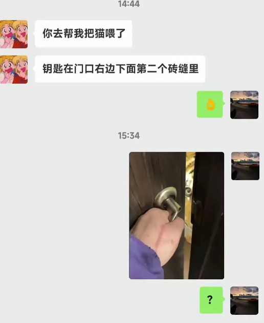 朋友：帮我喂下猫，不用带猫粮