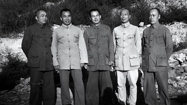 毛主席病逝后,毛岸青和邵华给叶剑英写信:父亲对伯伯是很尊敬的