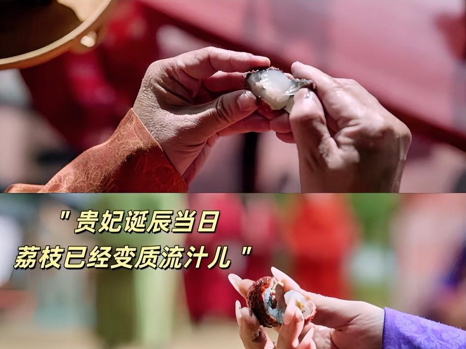 《长安的荔枝》大结局，5个圆满1个意难平：1、鱼常侍到岭南后，想复刻海帆筹搞荔