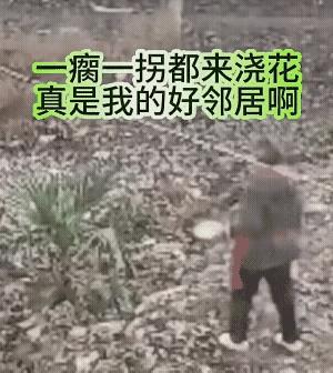 某网友爆料自己家里，年年栽树，却没有一棵活下来。这事真是奇了怪了，栽个树多简单