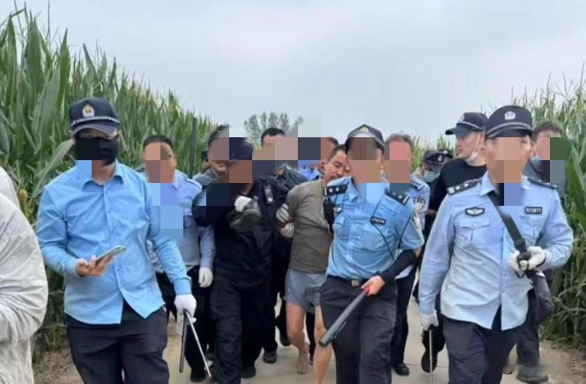 潜逃整整10天！男子从西平逃亡漯河，饿了啃庄稼，最终还是难逃法网法网之下