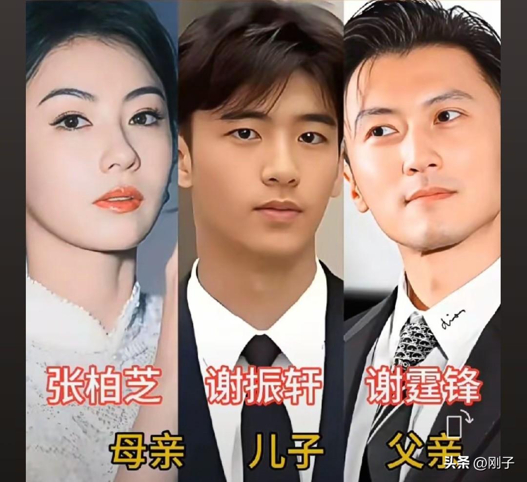 遗传太奇妙！盘点明星一家三口的长相孩子的样貌，藏着父母两人的影子。张柏芝