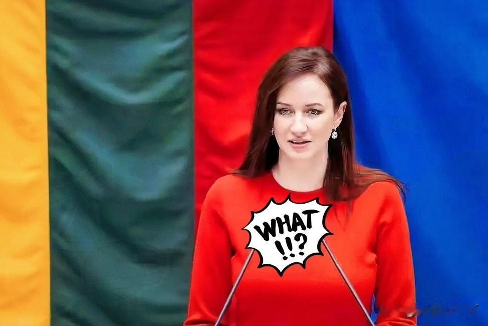 立陶宛终于认错了！2月3日，立陶宛国家广播电视台（LRT）发布BNS通讯社采访