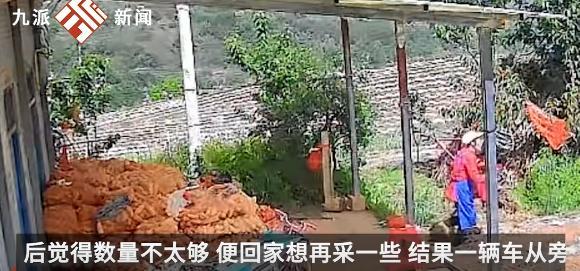 “缺大德了！”贵州，老人摘了10斤樱桃路边售卖，不料一男子下车端筐就跑，老人追了