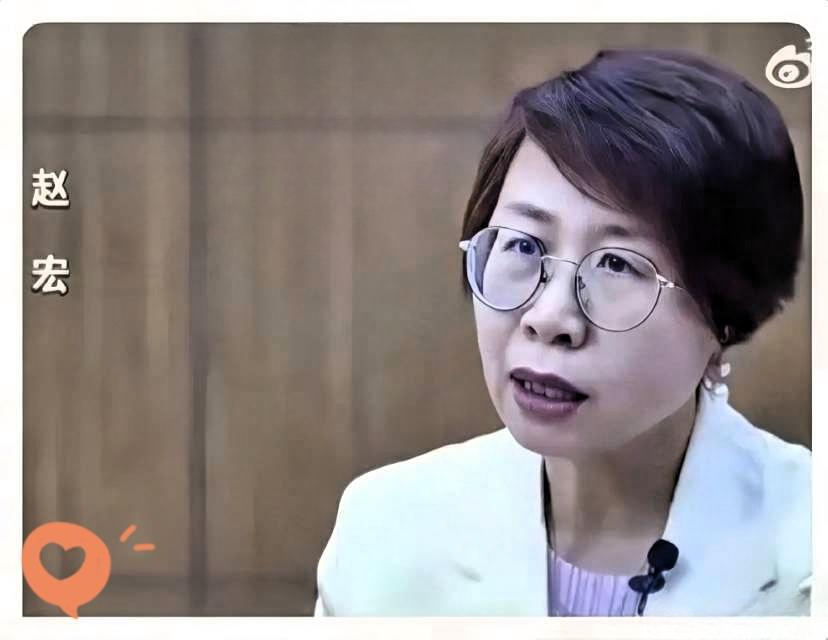 北大法学院赵宏教授！不查不知道，近20年深耕人权法，与瑞典隆德大学在人人权法这块