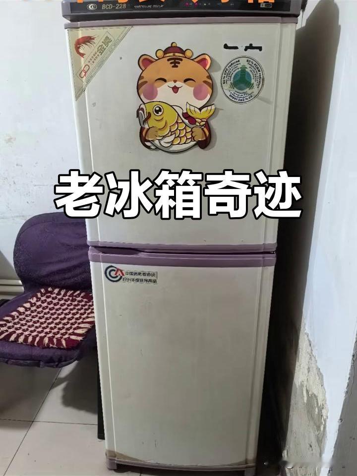 表姐离婚不要房不要车，只要厨房那个旧冰箱！亲戚骂她傻，5年后她在家族群发张照片，