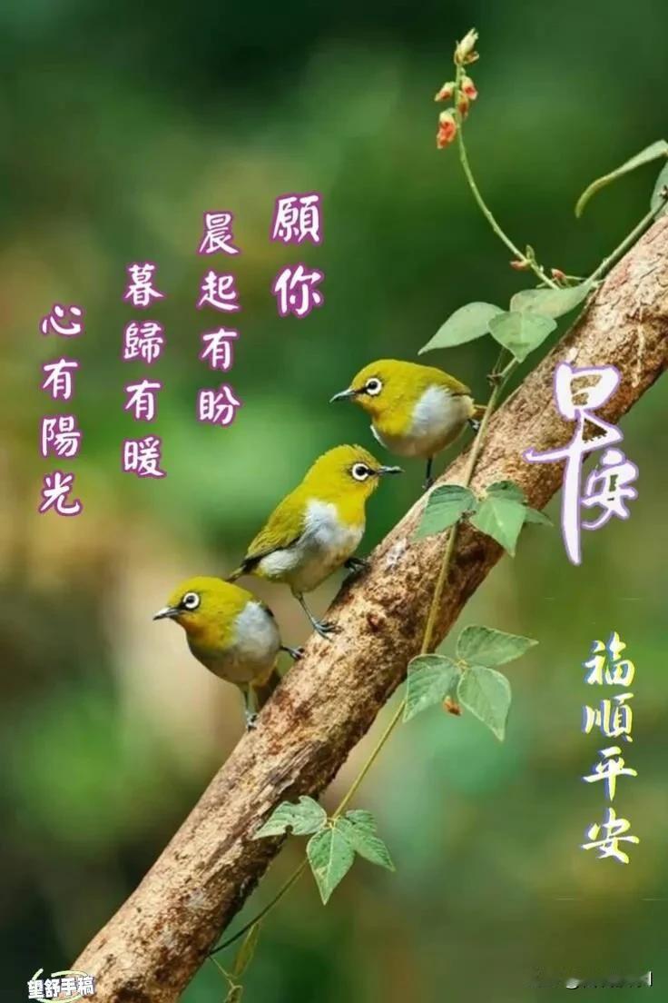 迎着春日晨光，卸下所有烦恼，愿日子清透，世事温柔，早安