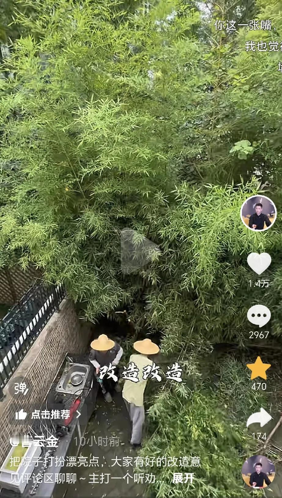 曹云金砍光了别墅院子里的竹林，这下网友们的脑洞开得比砍下来的竹子还大。8月1