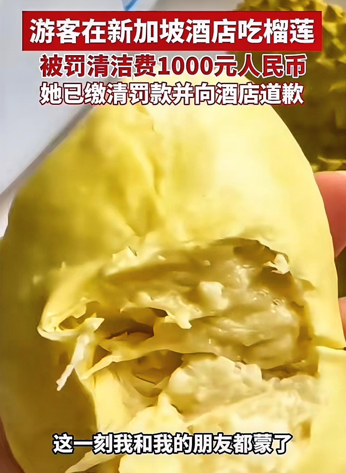 这个酒店太小题大做了吧！小姐姐到新加坡旅游，因为在酒店房间吃了榴莲，被罚款10