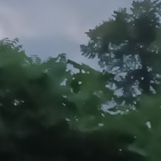 每日一善美好的一天开始了，今日份的快乐在于积极向上热爱生活。
