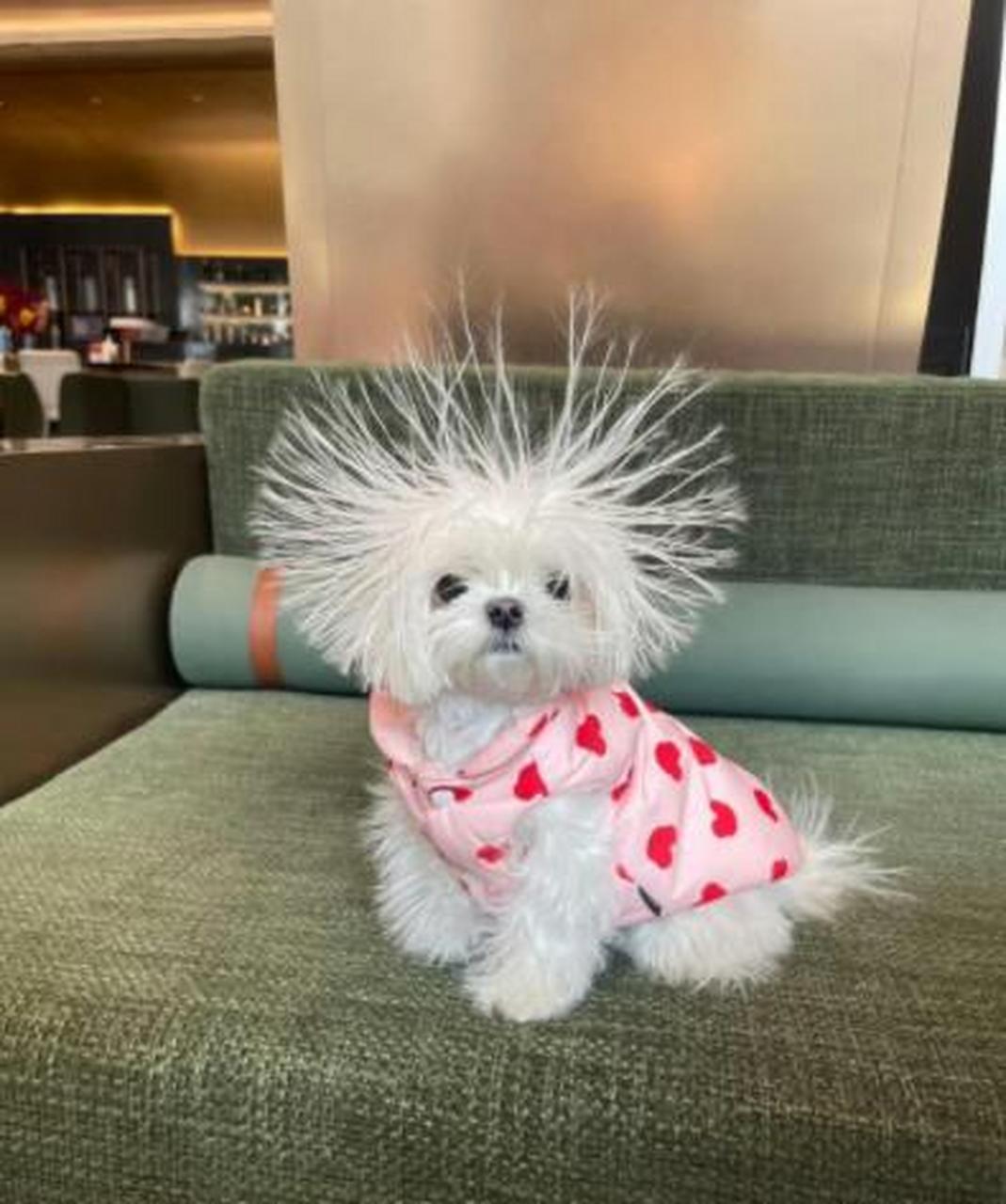 公公的存款到期了，公公说自己年纪大了，要把钱存到年轻人的名下，小姑子拿了身