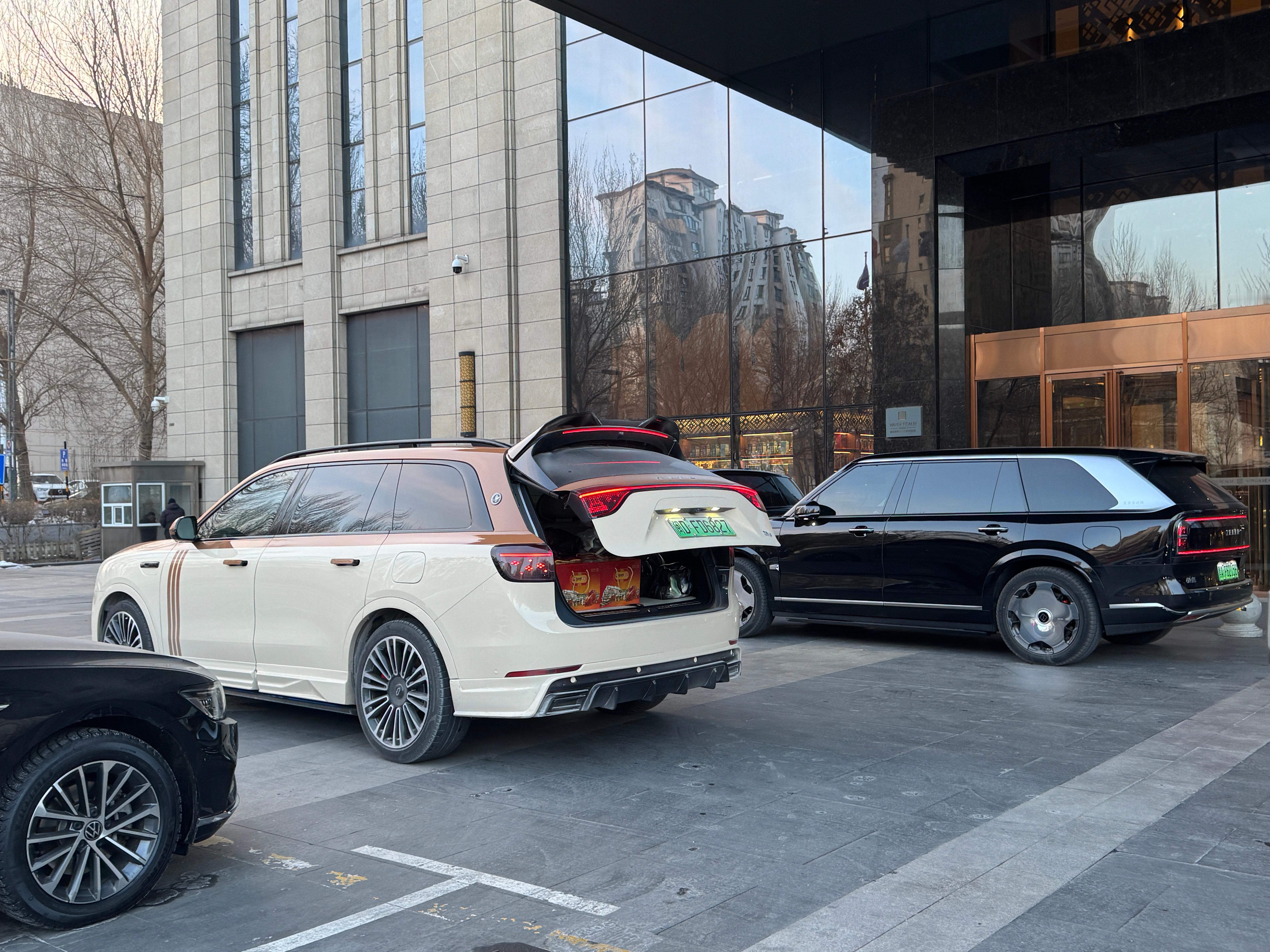 酒店门口刚好停了两台50w级躲不掉的SUV，问界M9和极氪9X，东北的新能源还是