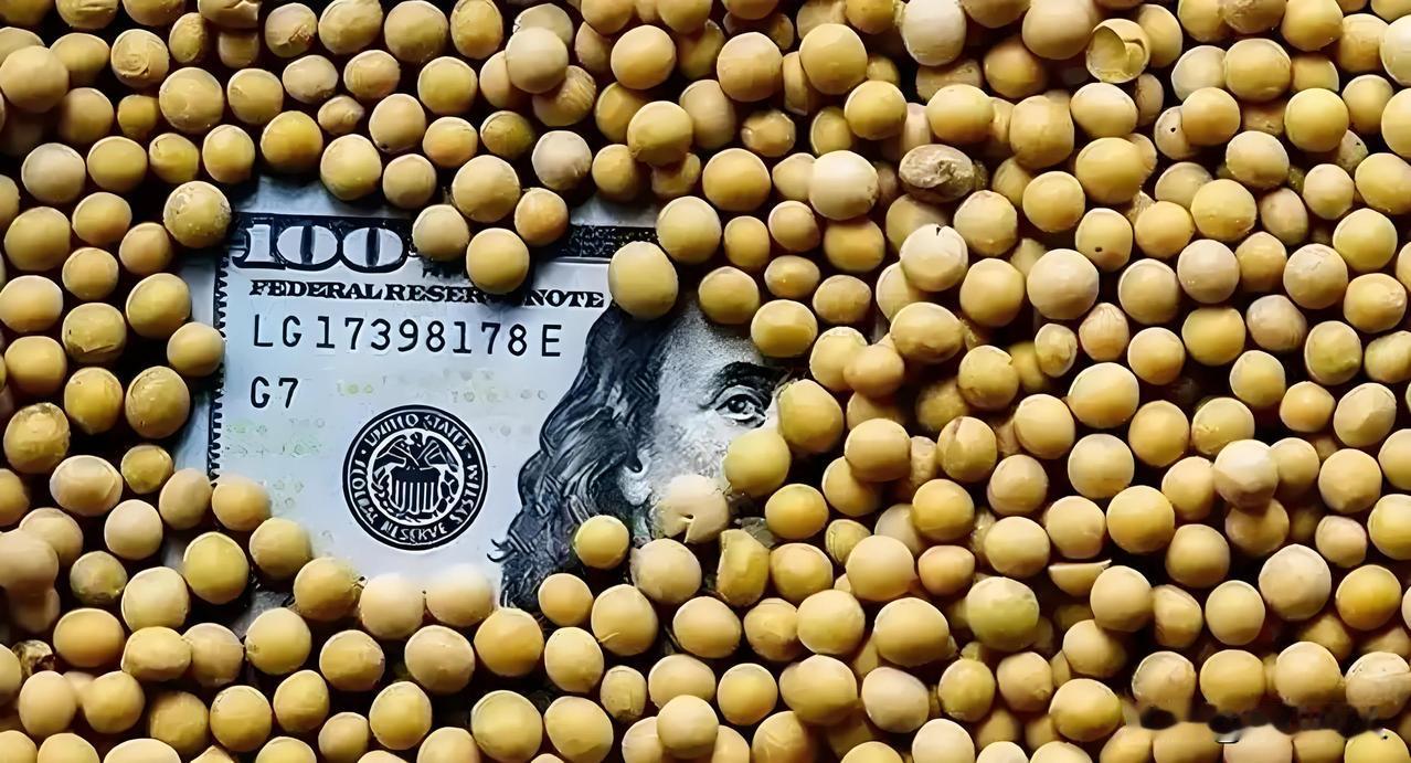 中国进口的大豆：美国约3600元/吨、巴西2800~3500元/吨、阿根廷约40