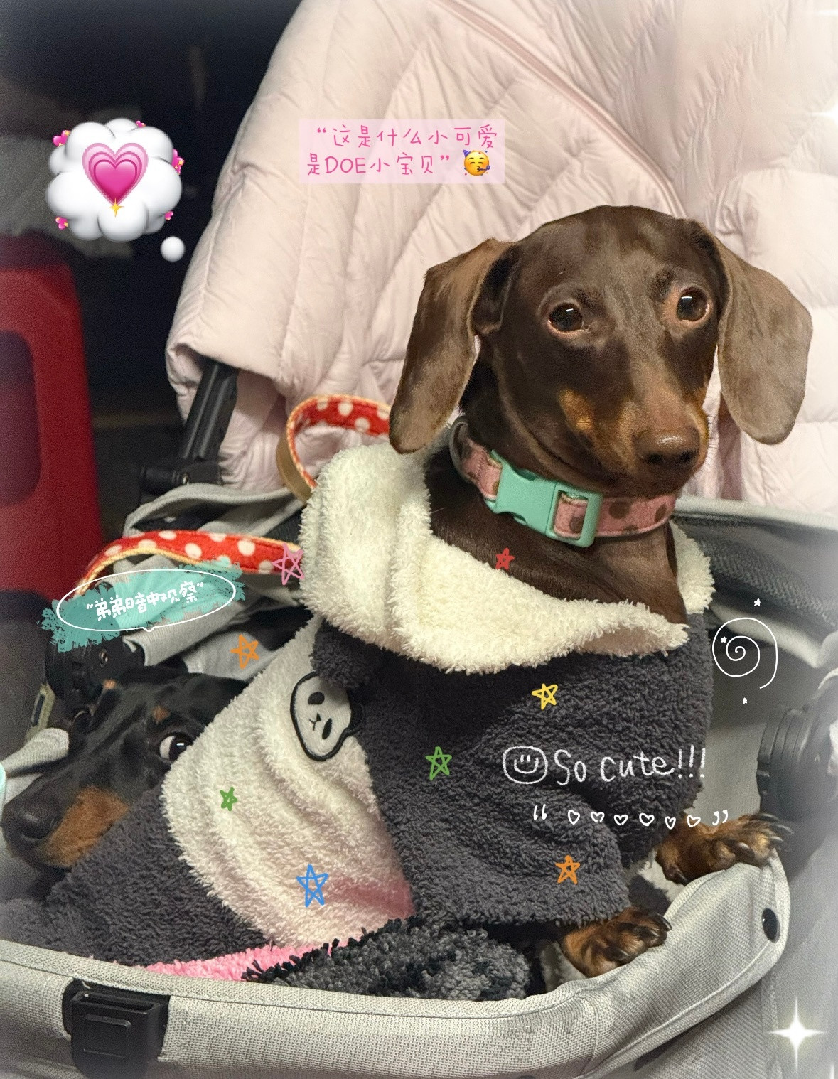 看了三十秒才发现我们点子在哪儿哈哈哈哈哈哈哈哈哈哈哈哈哈哈