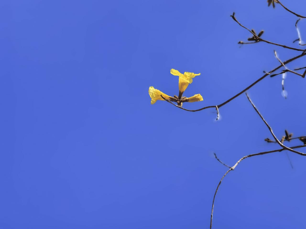 老年人有慢性病，盯上一个大夫诊治好，还是换换大夫好？前两天