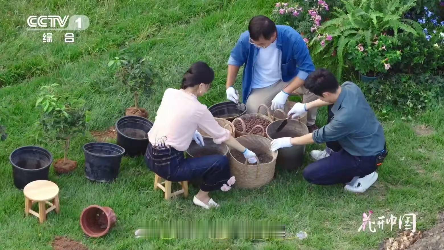 地球早期尽是裸岩，地衣苔藓化身拓荒者，亿年风化岩石、积淀有机质，从无到有孕育土壤