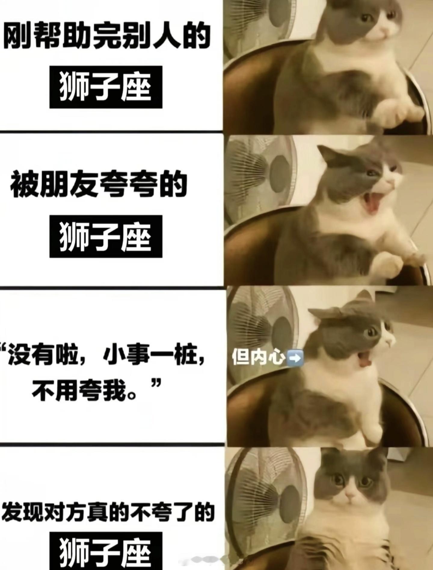 本周做什么都顺的星座没错，排第一位的正是在下，8月份的狮子座高调刷到，已经笑得合