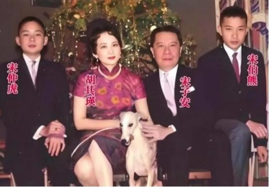 宋子安猝死后，夫人胡其瑛改嫁埃及富商，宋氏三姐妹为何选择集体沉默？有人说胡其瑛这