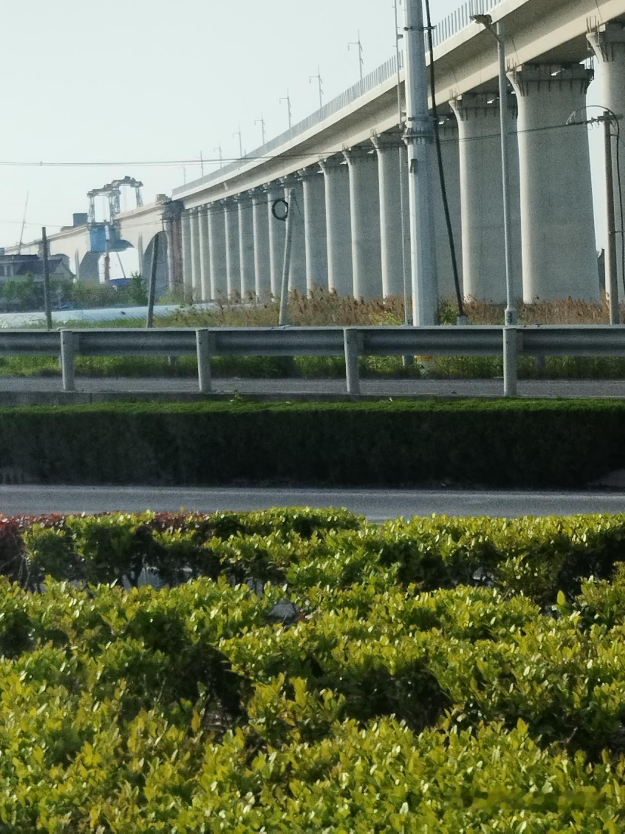 北沿江高铁南通段的高架桥还没有建设好，看来2028年能够通车，上海到南通到南京到