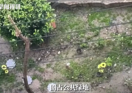 “彻底解释不清了！”上海，一女子因为投诉了一楼的邻居违规圈占公共绿地，造成了小区