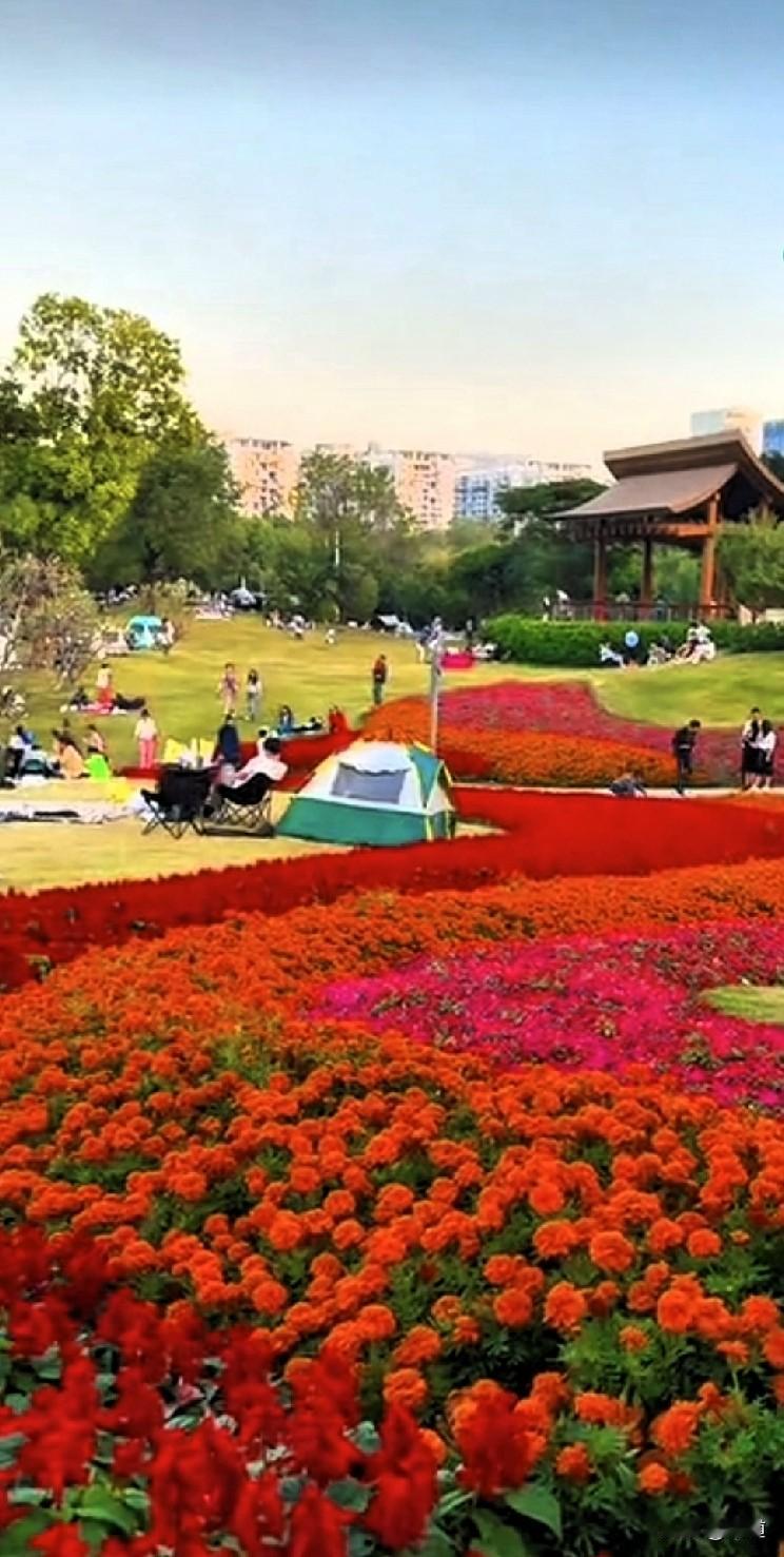 51岁女子经人介绍认识了55岁村主任，女子要10万块钱彩礼，结婚前只给5万。男的