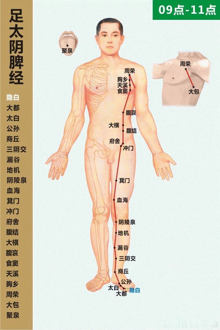 【慢性病，都与这条经有关！】脾为后天之本“脾为后天之本”，这一经典认知，与中医的