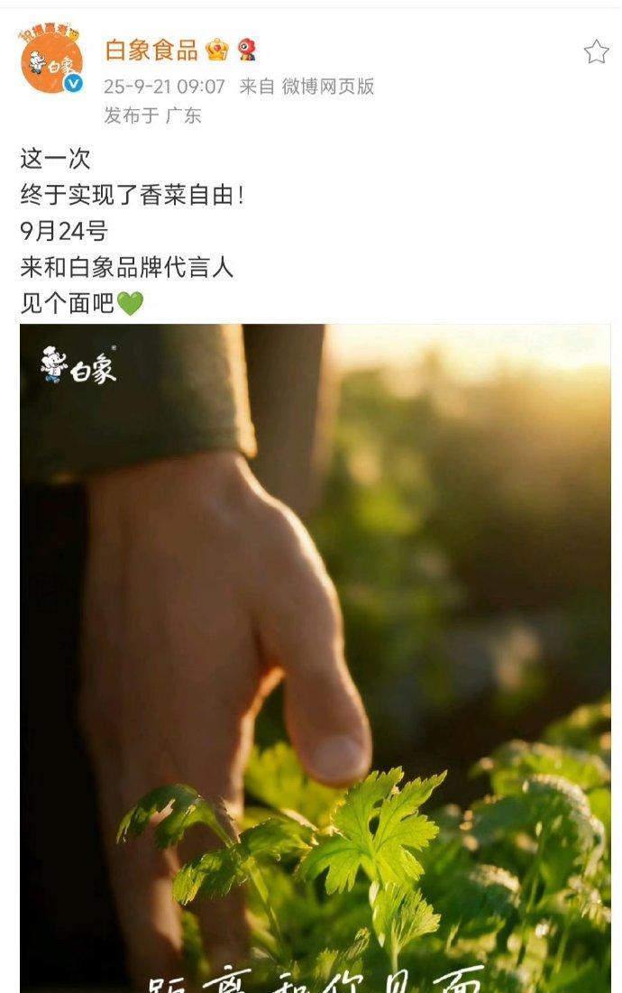 #王一博白象合作官宣！坐等泡面名场面，动物园喜提新成员#