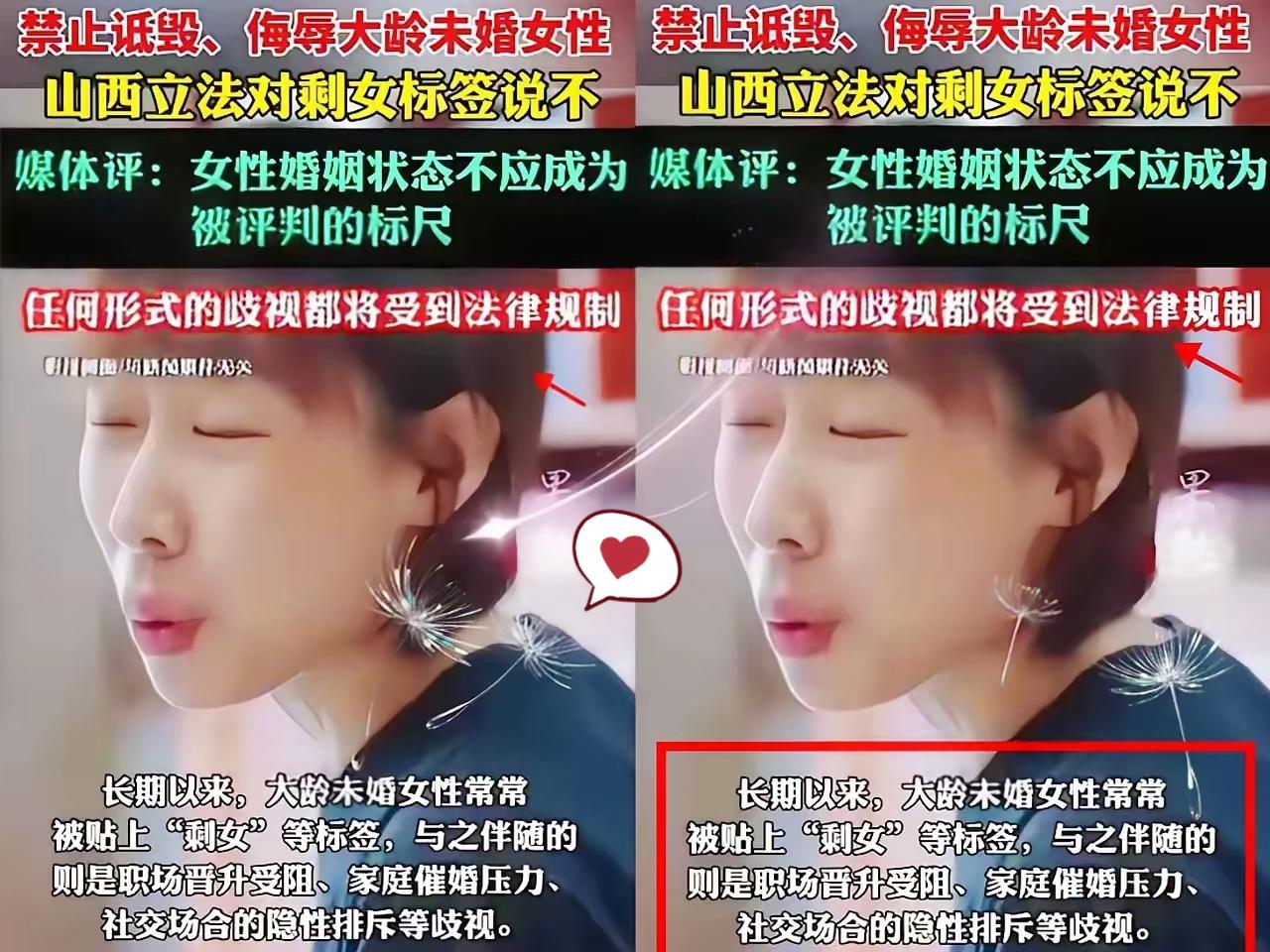 我同意禁止“剩女”一词,可是其他的呢?一边喊着禁止“剩女”这类冒犯女性的词