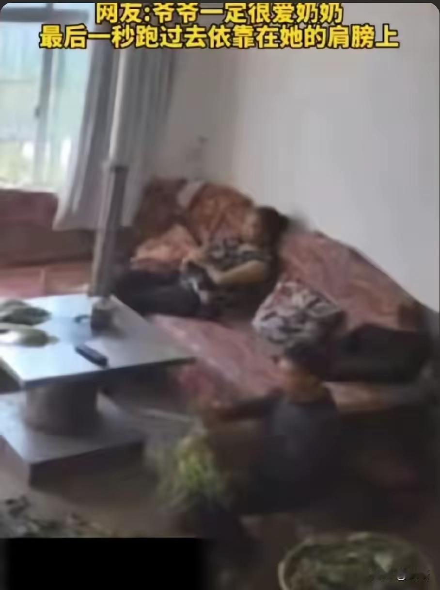 监控里这段让人心里一揪的画面，看得人鼻子直发酸：老爷爷在地里忙活完一天的活计，慢