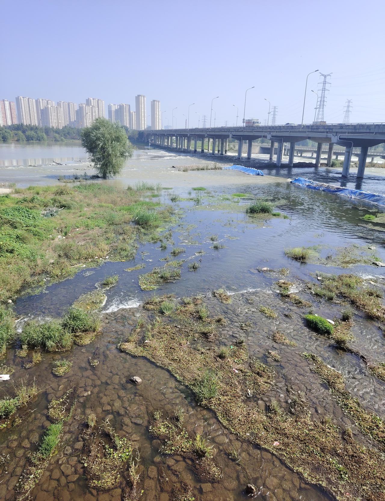 “3800立方米/秒冲下来，莲石湖5分钟变海。”8月3日凌晨，司机老赵眼