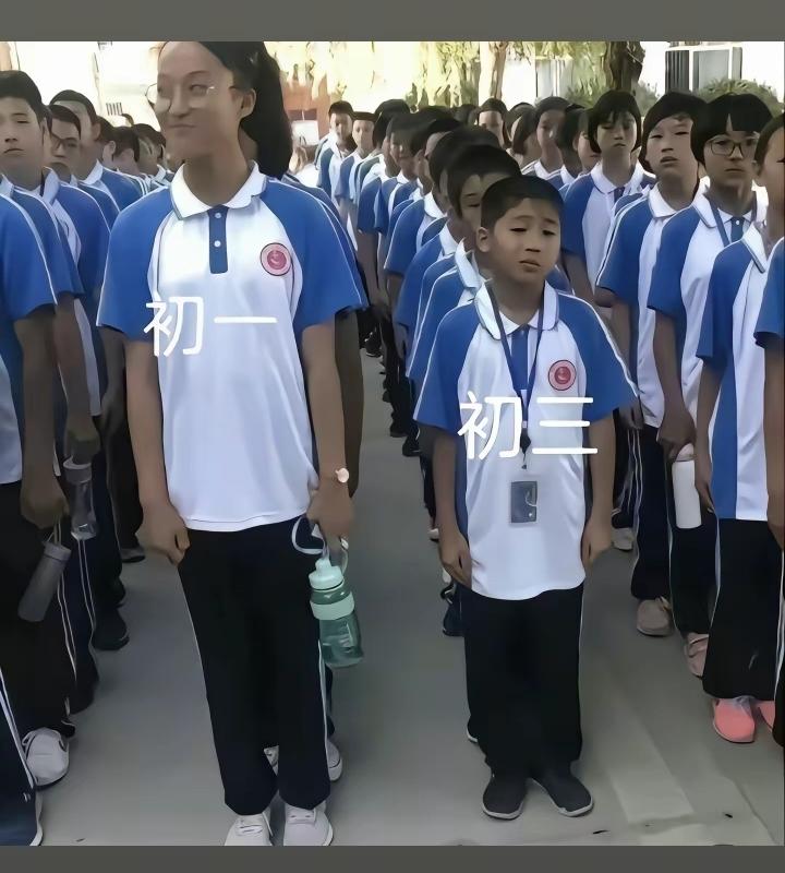 没有对比，就没有伤害啊，初一的学弟学妹给初三的学姐学长们留点面子啊[哭哭][