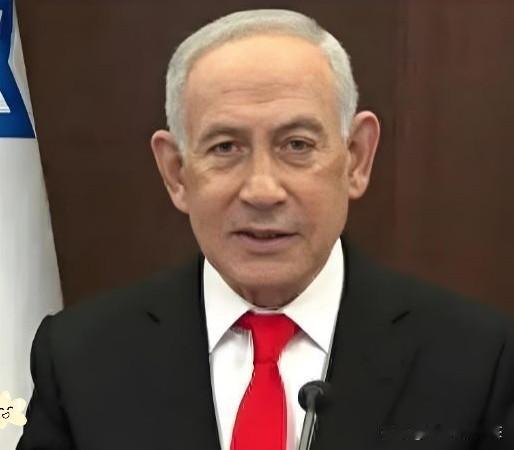 突发辟谣！逮捕令是假的闹了个大乌龙！消息刚爆出来，立马被打脸。荷兰海牙时