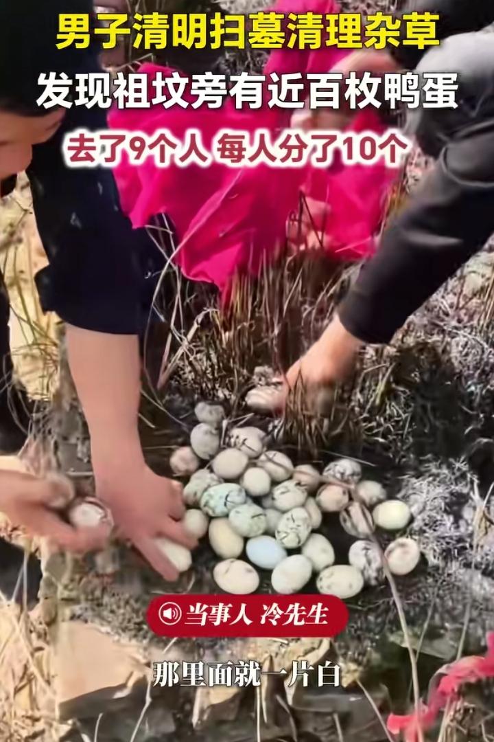 “这祖宗太实在了！”江西九江，清明这天一男子带着一家人去扫墓，看见祖坟长满了草，