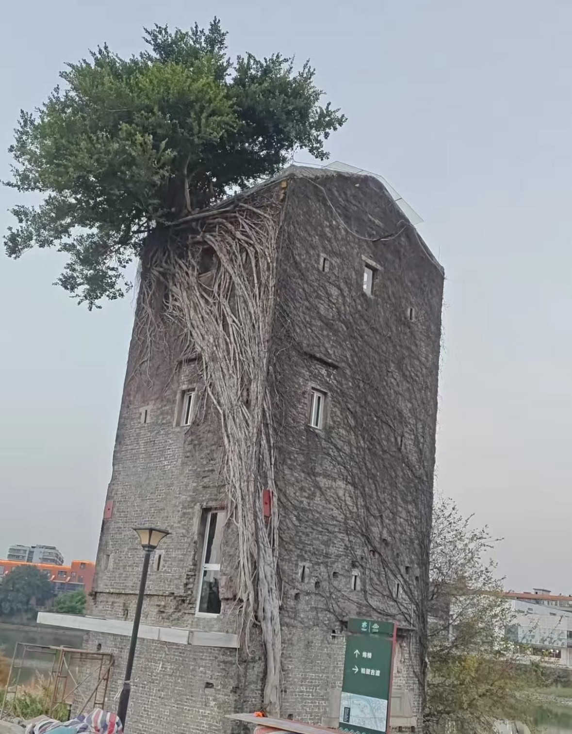 同一地点，相隔一年