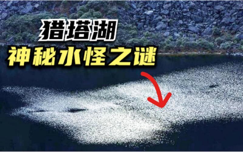 郑州3米神秘大鱼刷屏后，回头再来看中国有真实影像记录的“三大水怪”，有了新解释