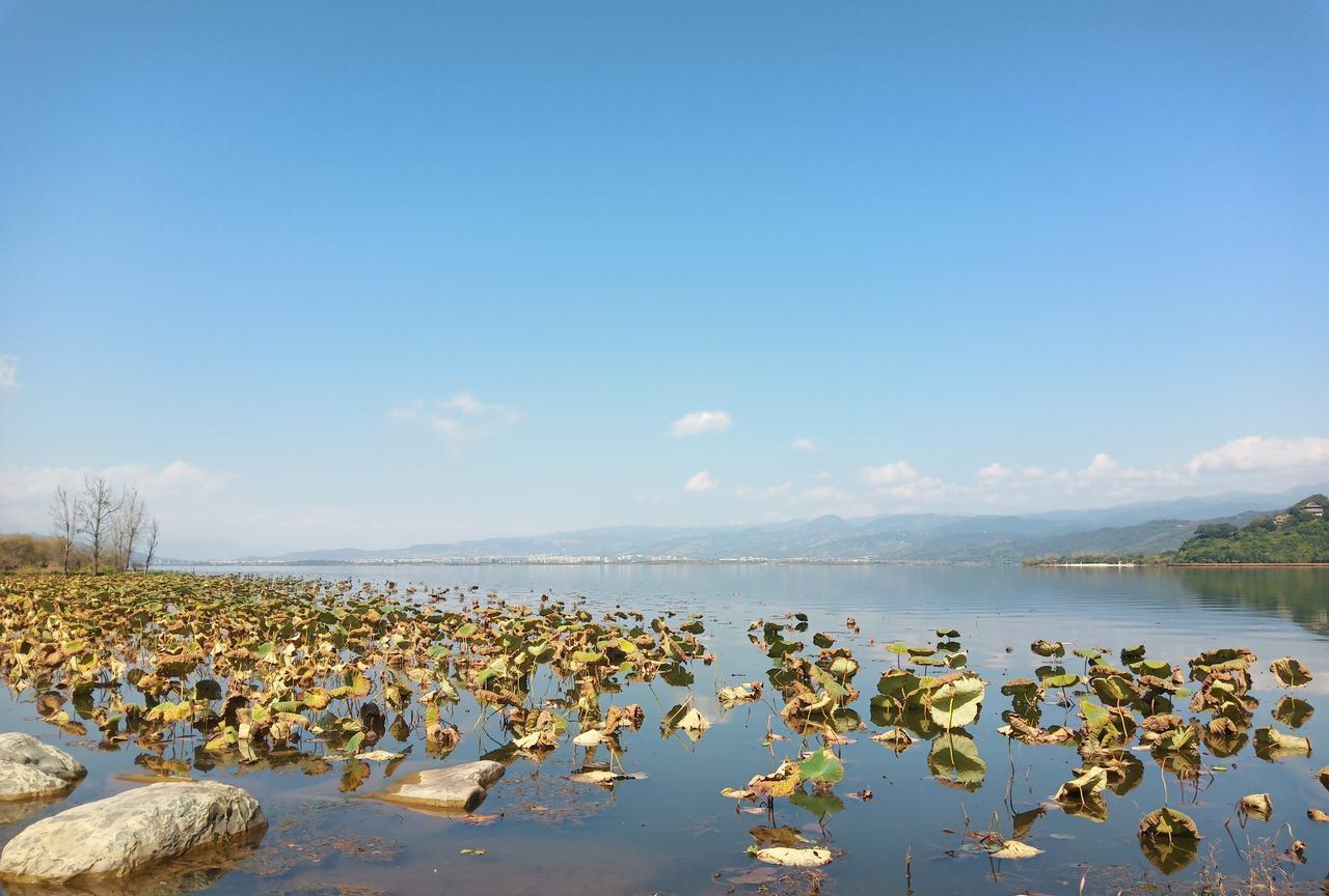 观察发现：单位里高质量的躺平型员工；无非就是看透三点；首先就是认清自己，并