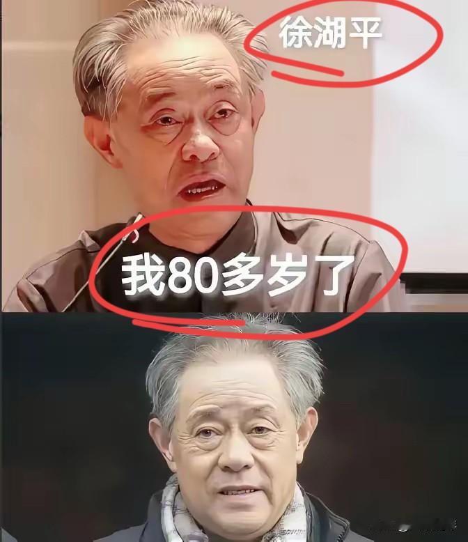 徐湖平，82岁，曾经的博物馆院长，风烛残年之际，卷入了国宝盗窃案。徐湖平父子