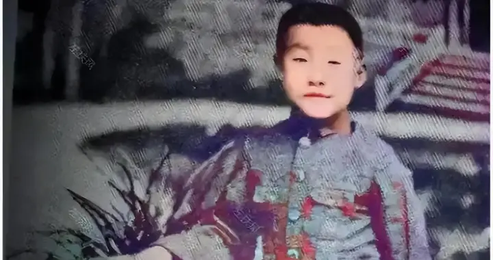 韩子华：抗美援朝立功，一生为父韩复榘鸣不平，死后与父同葬