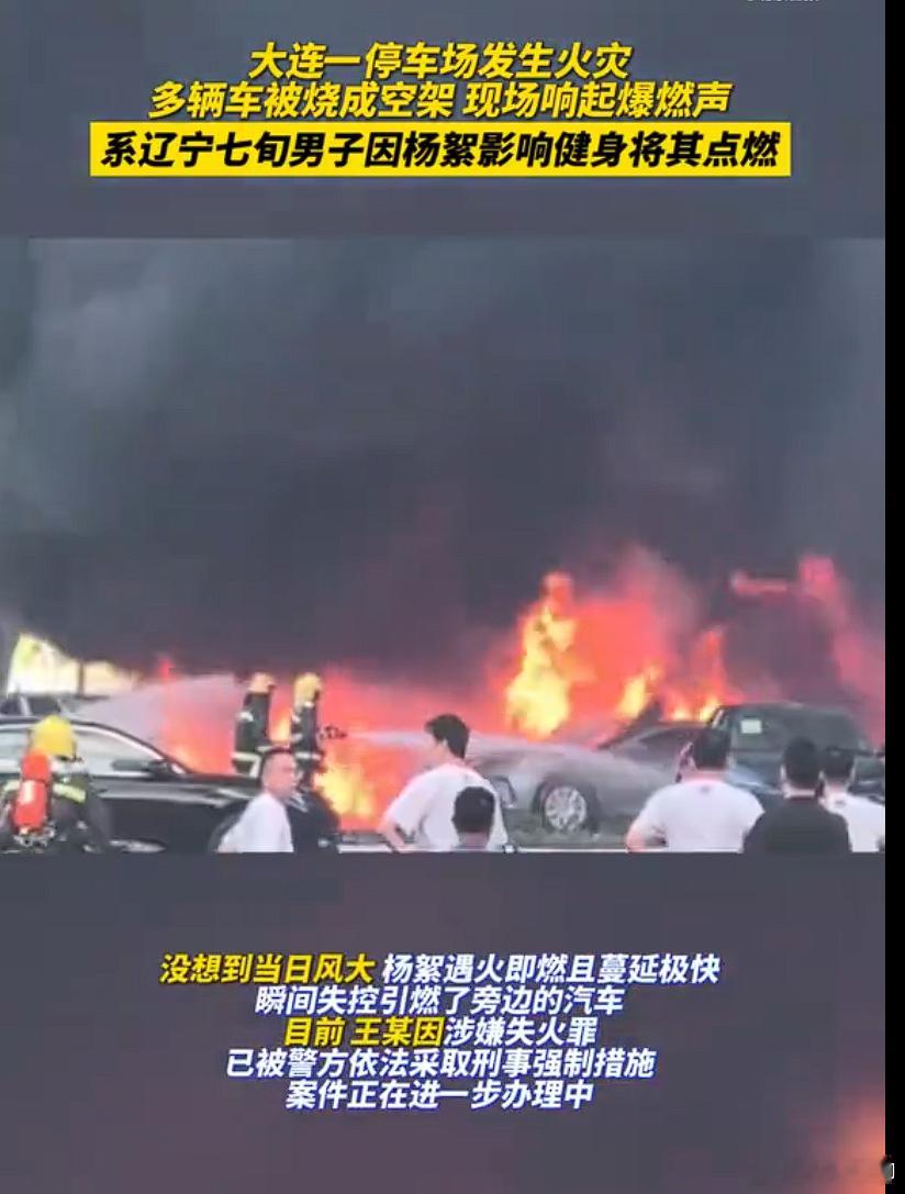 74岁老人烧杨絮引燃20辆汽车老人点杨絮烧毁20辆汽车被抓74岁的王姓老人看到