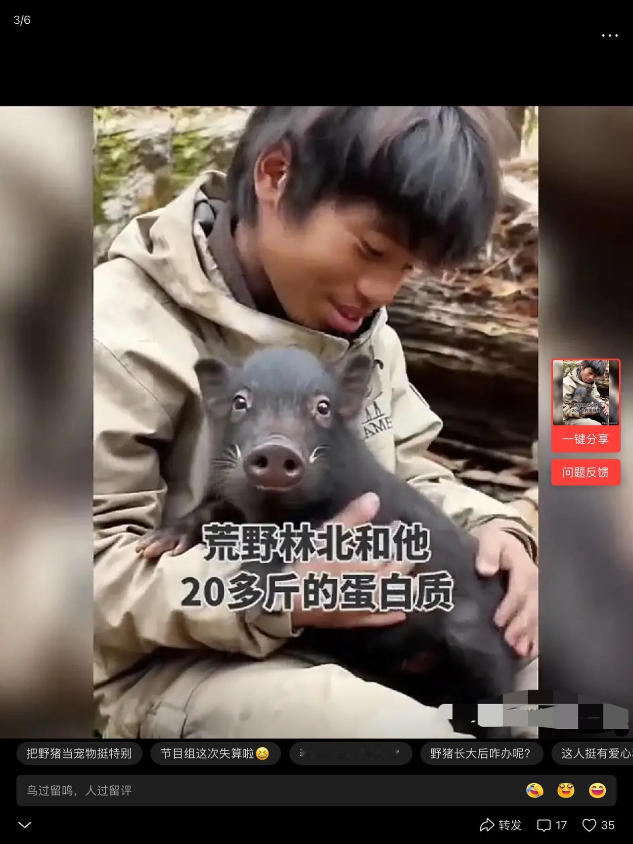 完了！荒野求生林北得不了冠军了！你看他抱着八戒的样子，深情的像抱着那啥。那是给你